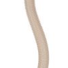 CL104D